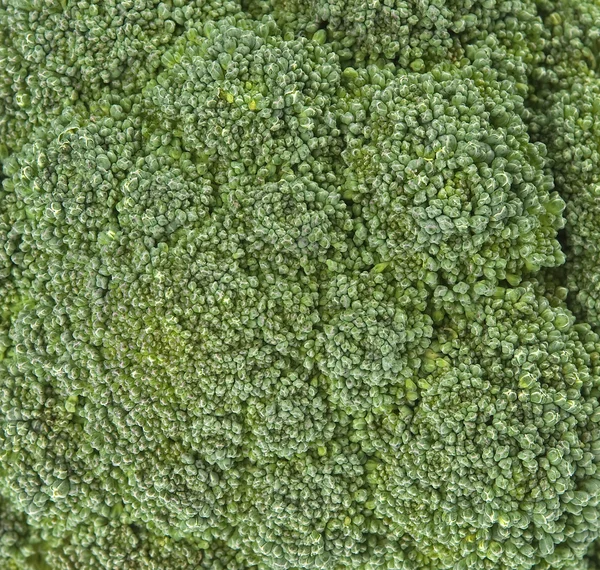 Textura de brócolis — Fotografia de Stock