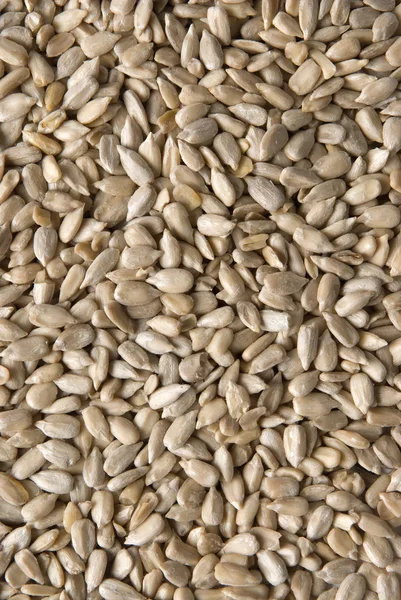 Sunflower seeds - background — Stock Photo, Image