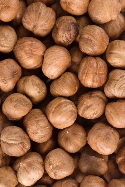 Group of hazelnuts closeup — Stock Photo, Image
