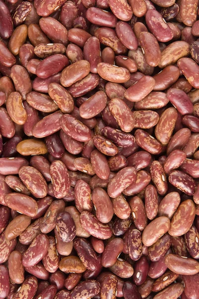 붉은 껍질 콩 배경 — 스톡 사진