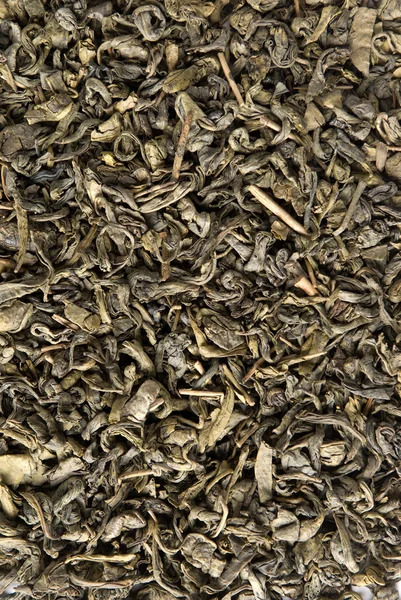 Hojas de té verde — Foto de Stock
