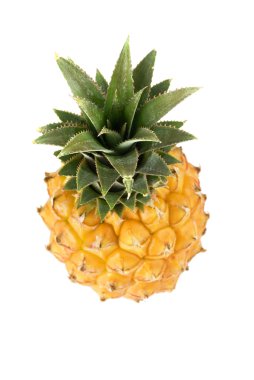 olgun ananas