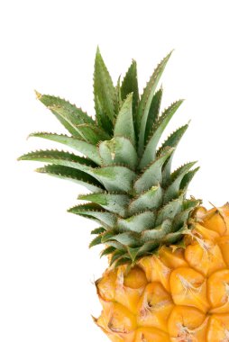 küçük ananas