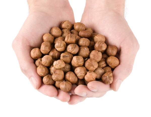 Human hands holding heap of hazelnut — Stock Photo, Image