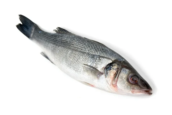 Çiğ balık — Stok fotoğraf