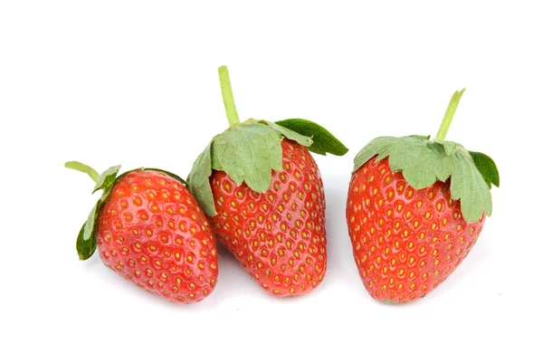 Frische und schmackhafte Erdbeeren — Stockfoto