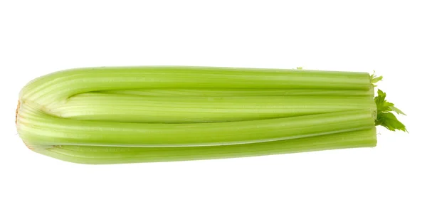 Řapíkatého celeru — Stock fotografie