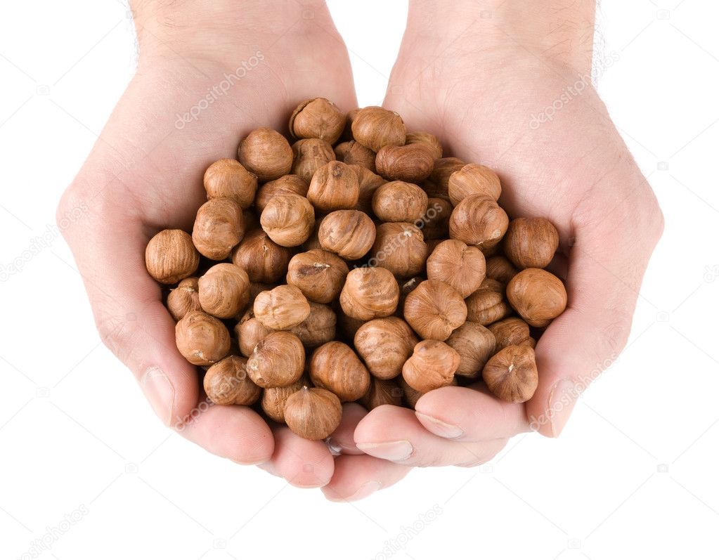 Human hands holding heap of hazelnut
