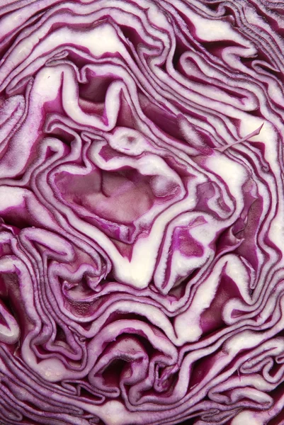 Background of sliced red cabbage — Zdjęcie stockowe