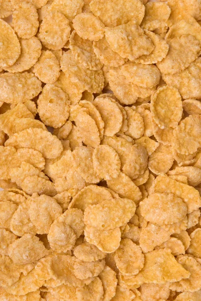 Närbild av cornflakes — Stockfoto