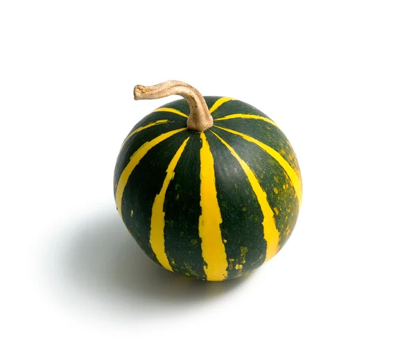 Striped pumpkin — Stock Photo, Image