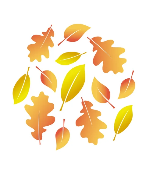 Vector hojas de otoño — Archivo Imágenes Vectoriales