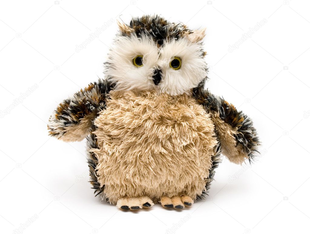 Owl is a toy