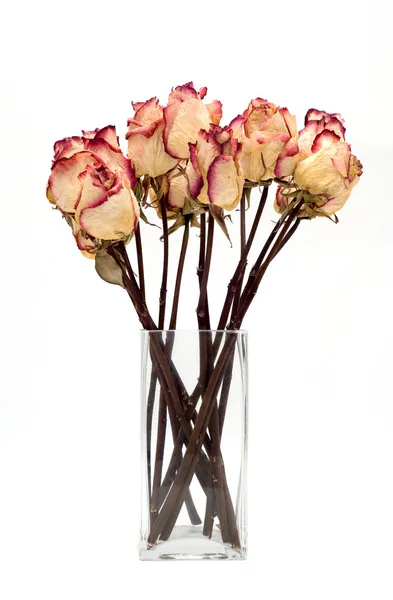 말린 장미꽃 꽃다발 — 스톡 사진