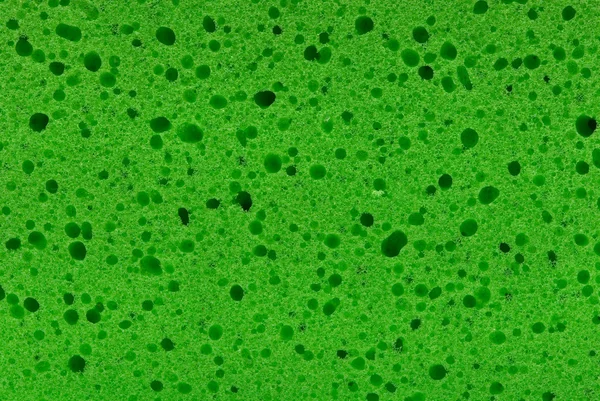 纹理的绿色海绵 — 图库照片