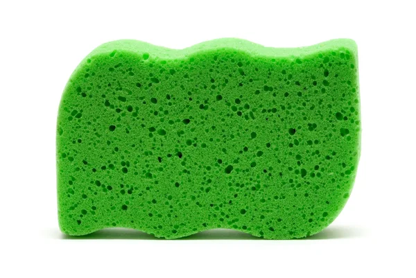 Зелений Губка — стокове фото