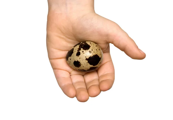 Uovo in una mano — Foto Stock