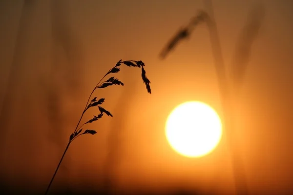 Sundown. — Stock Photo, Image