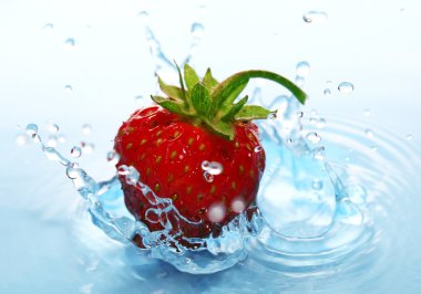 The Strawberries in drop.