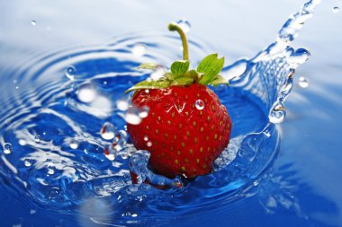 The Strawberries in drop.