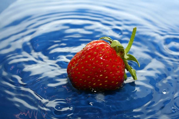 The Strawberries in drop. — Stockfoto
