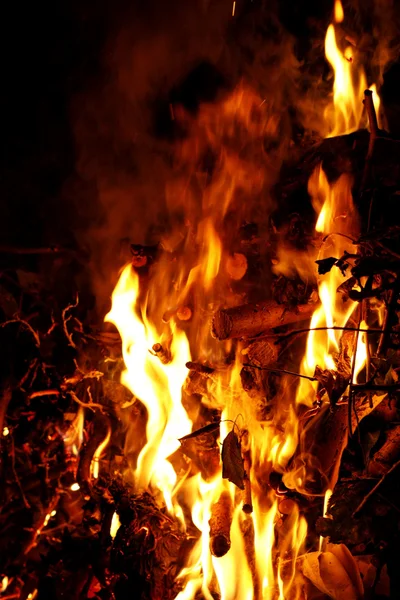 stock image Campfire