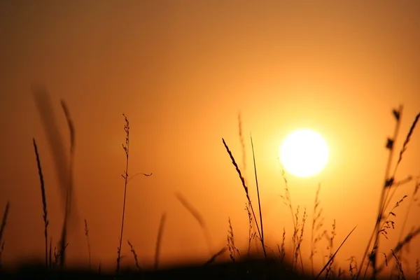 stock image Sundown.