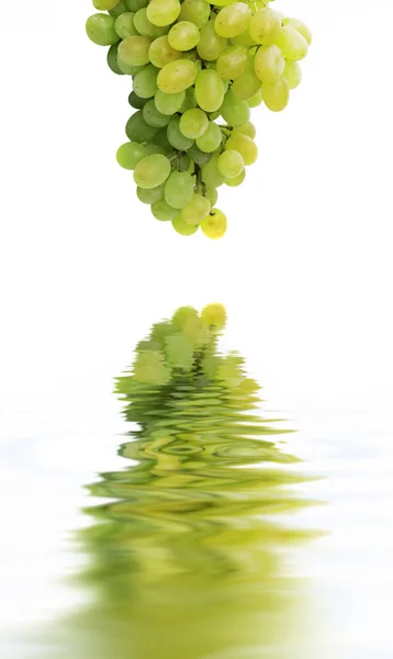 Пучок стиглого винограду на білому тлі — стокове фото