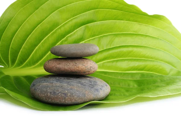 stock image Spa still life.