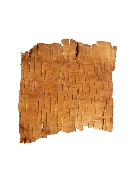 Bark Of The Birch — Stock Photo, Image