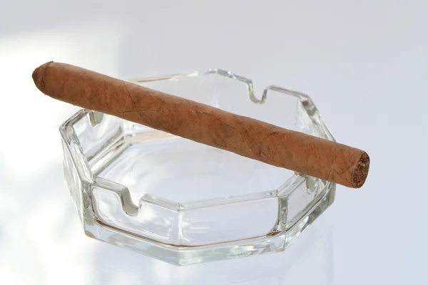 Zigarre rauchen — Stockfoto