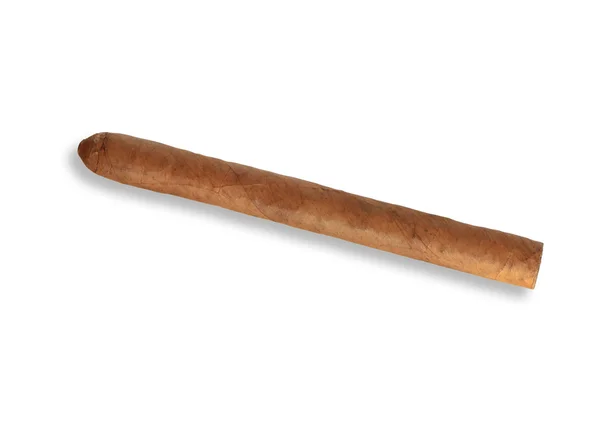 Smoking Cigar — Stock Photo, Image