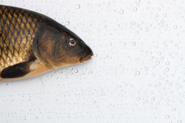 Çiğ balık — Stok fotoğraf