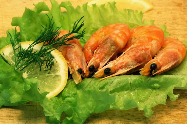 Cooked Shrimps — Stock Photo, Image