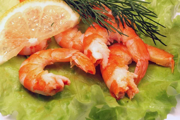 煮熟的虾 — 图库照片