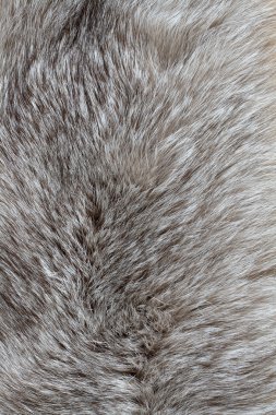 Fur background clipart