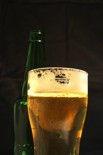 Beer On Dark — Stock Photo, Image