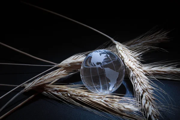 Dünya ve buğday — Stok fotoğraf