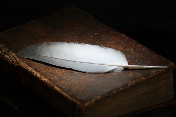 Feather On The Book — Stock Photo, Image