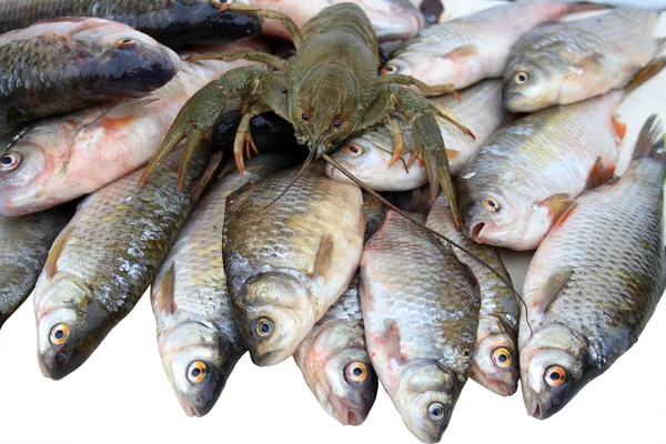 Peixes crus e cancro — Fotografia de Stock