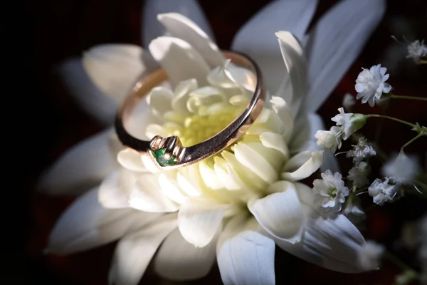 stock image Golden Ring