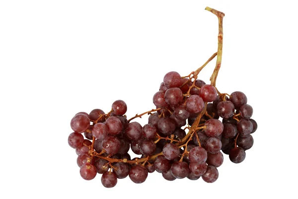 Grapes On White — Stock Photo, Image