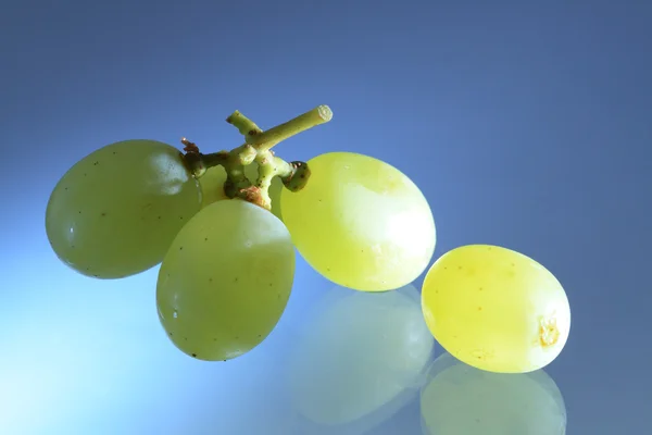 Grapes On Blue — Stock Photo, Image