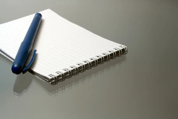 Pióra na notebooka — Zdjęcie stockowe