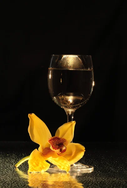 Orchidee und Wein — Stockfoto