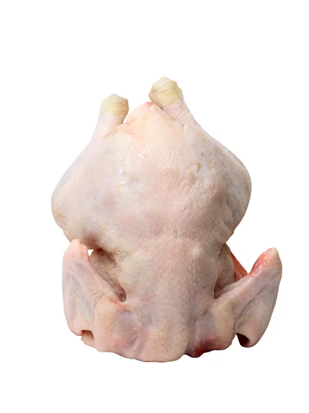 Rauwe kip — Stockfoto