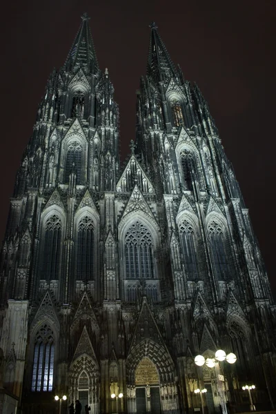 Catedral de Colônia na noite — Fotografia de Stock