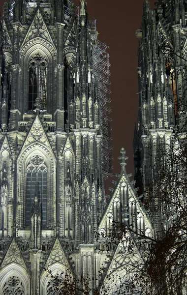 Köln Katedrali gece — Stok fotoğraf