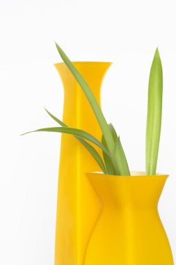 Modern Vases clipart