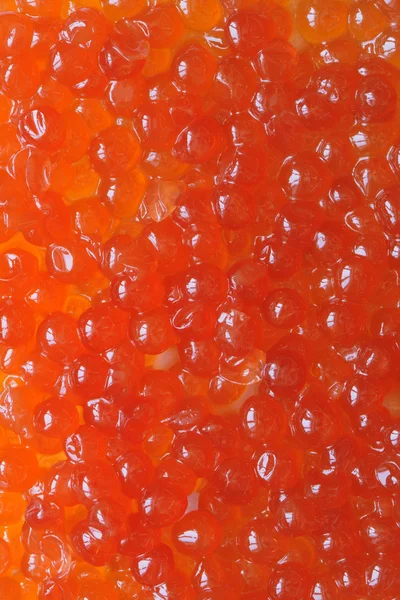 Fondo de caviar rojo — Foto de Stock